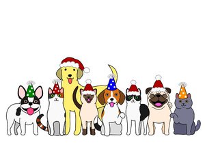 catdogxmas 640*452px 90dpi